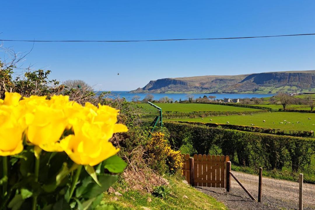 Photo of Others in Cushendall