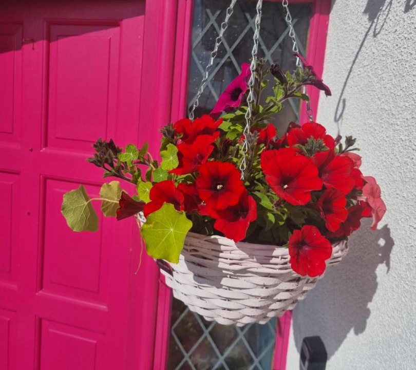 Photo of Others in Connacht