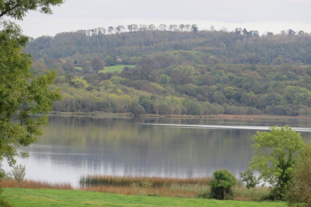 Photo of Others in Woodford