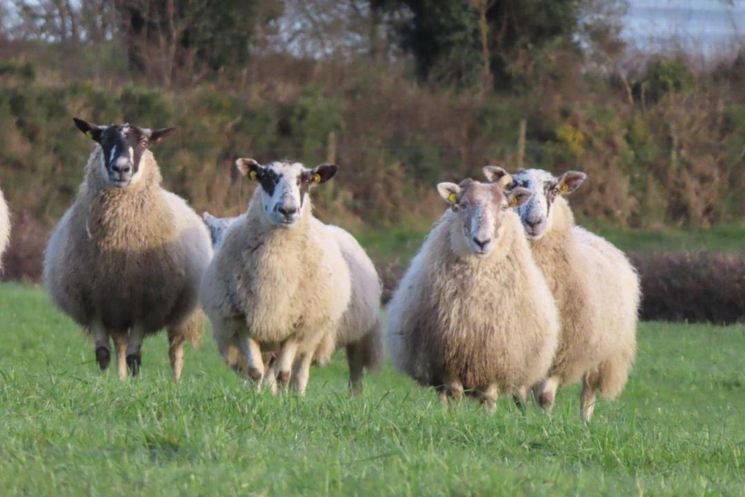 Photo of Others in Woodford