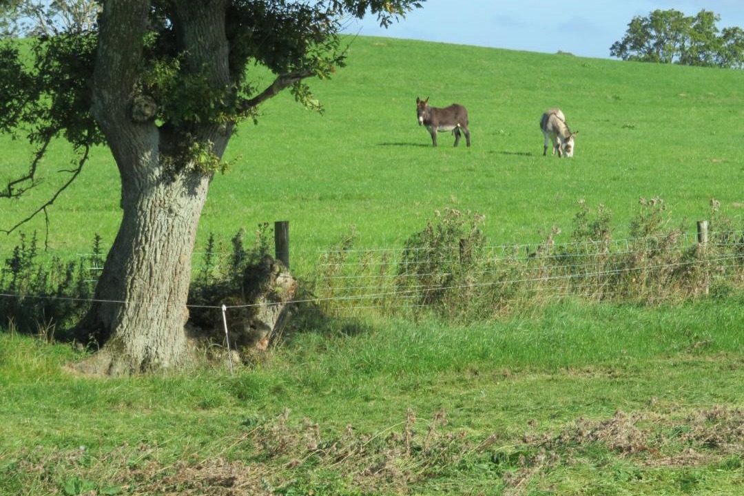 Photo of Others in Woodford