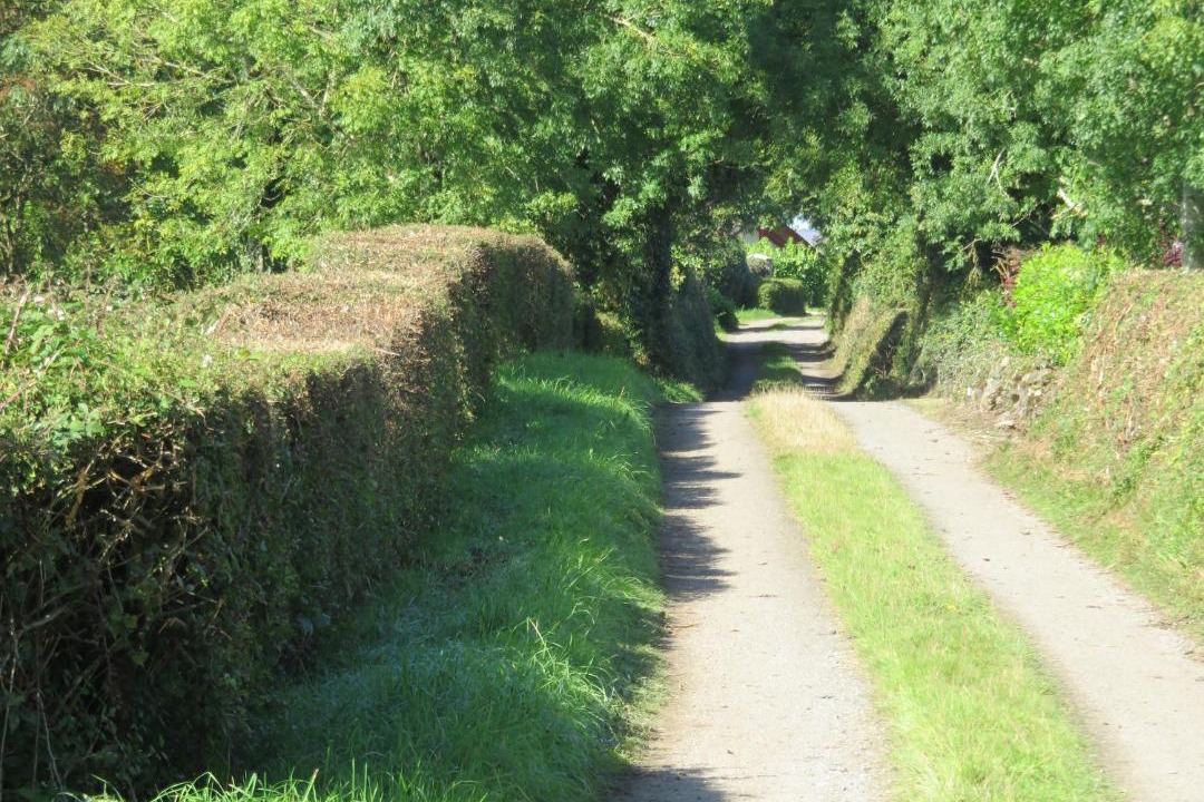 Photo of Others in Woodford