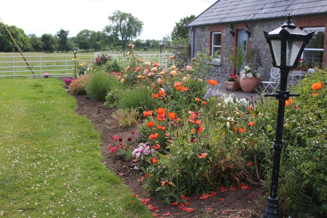Photo of Others in Trim