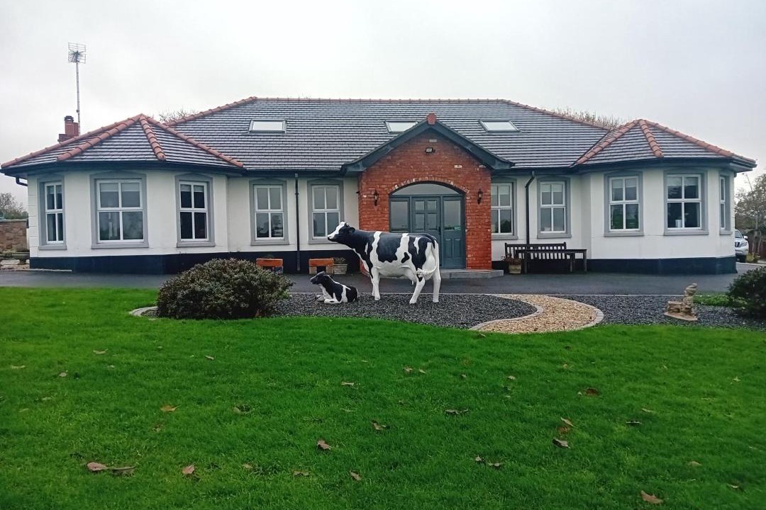 Photo of Others in Loughinisland