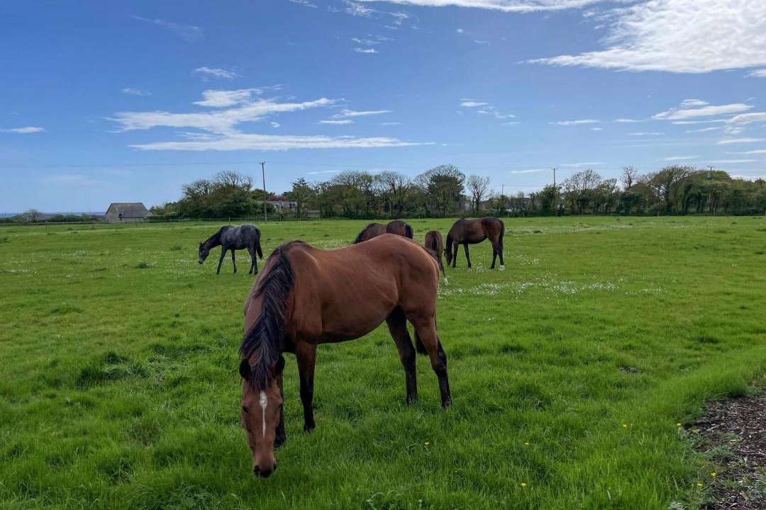 Photo of Others in Kilmore