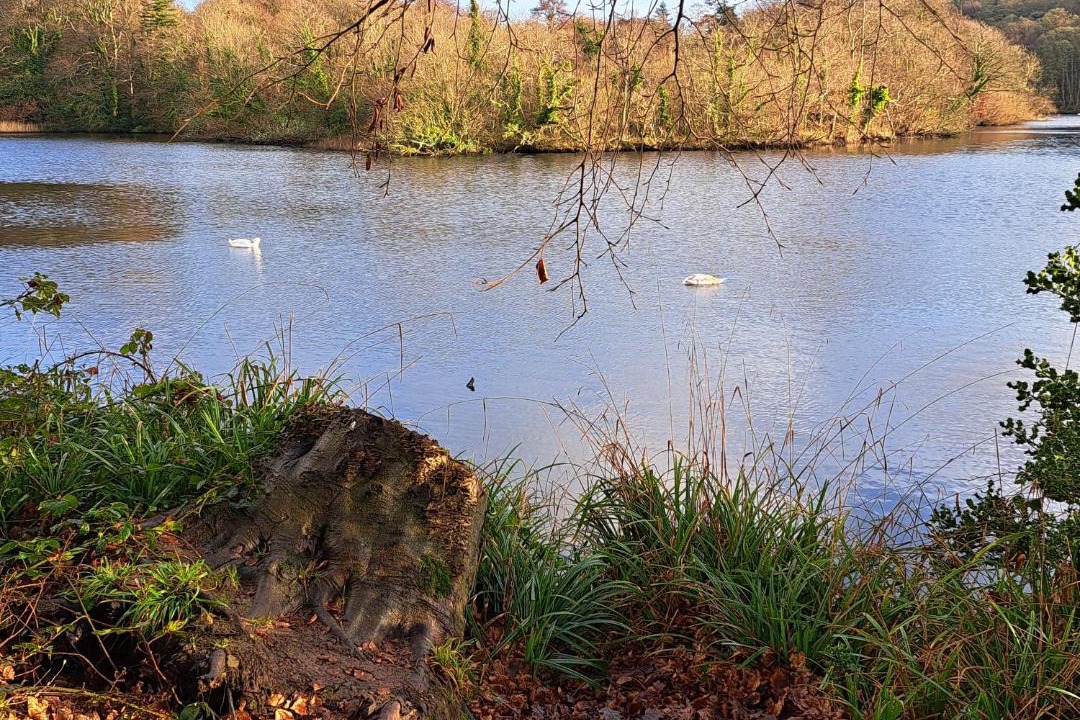 Photo of Others in Westport