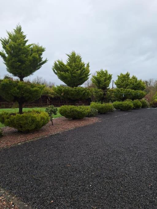 Photo of Others in Ballyjamesduff
