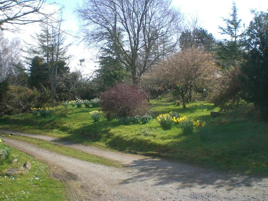 Photo of Others in Fivemilebourne