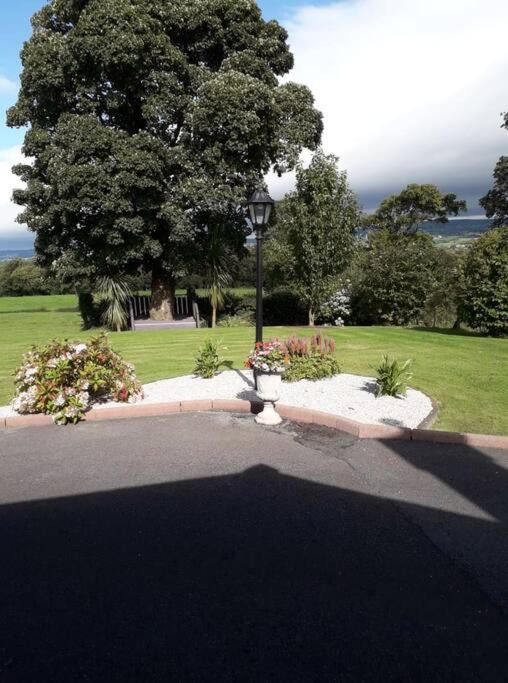 Photo of Others in Killygordon