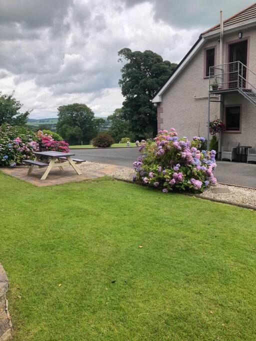 Photo of Others in Killygordon