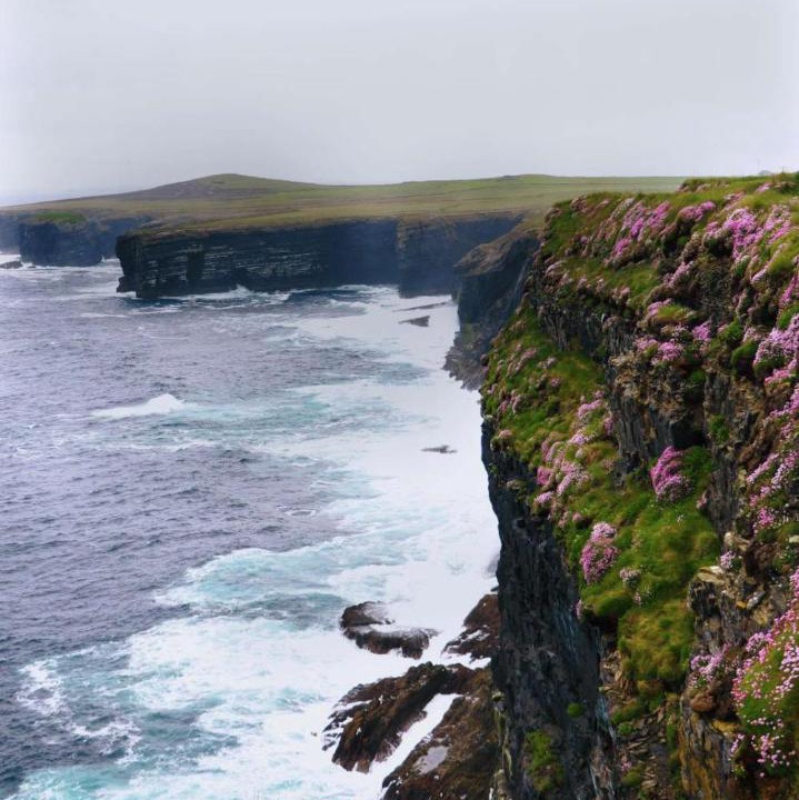Photo of Others in Kilbaha