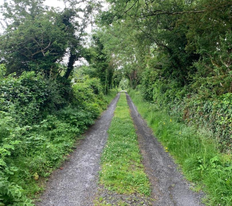 Photo of Others in Ballyvaughan