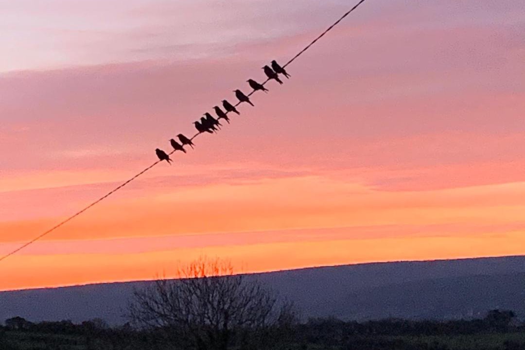 Photo of Others in Ballyvaughan