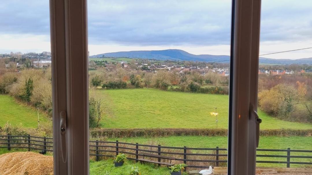 Photo of Others in Magherafelt