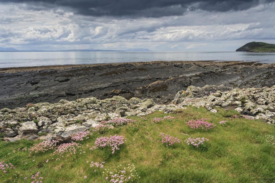 Photo of Others in Carrigaholt