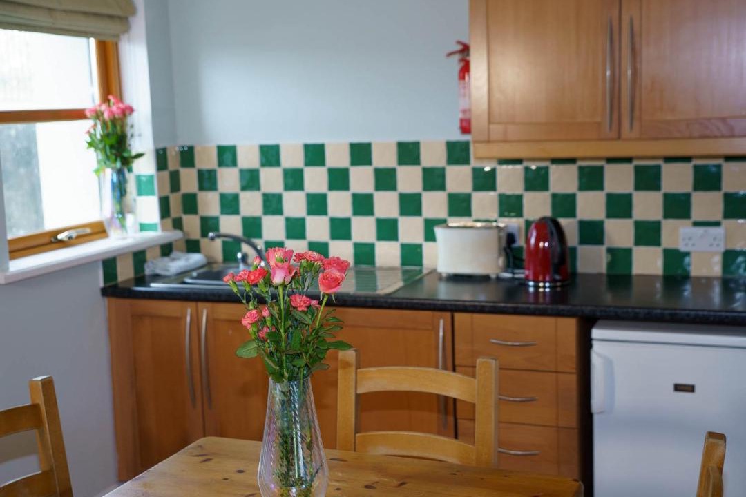 Photo of Kitchen in Dingle