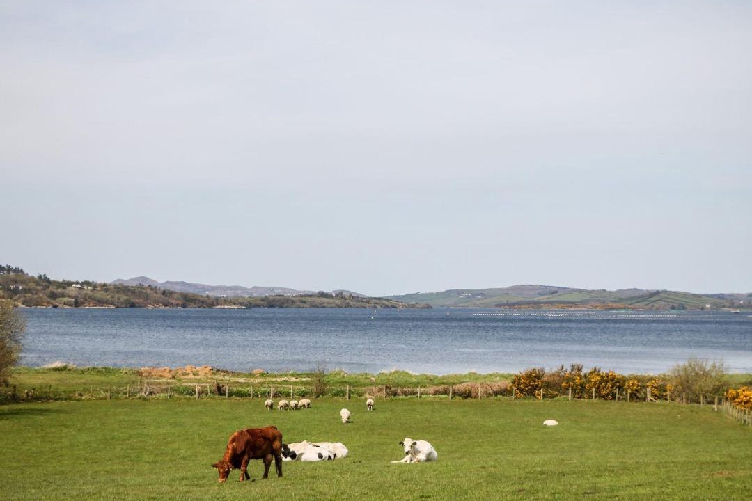 Photo of Others in Kerrykeel
