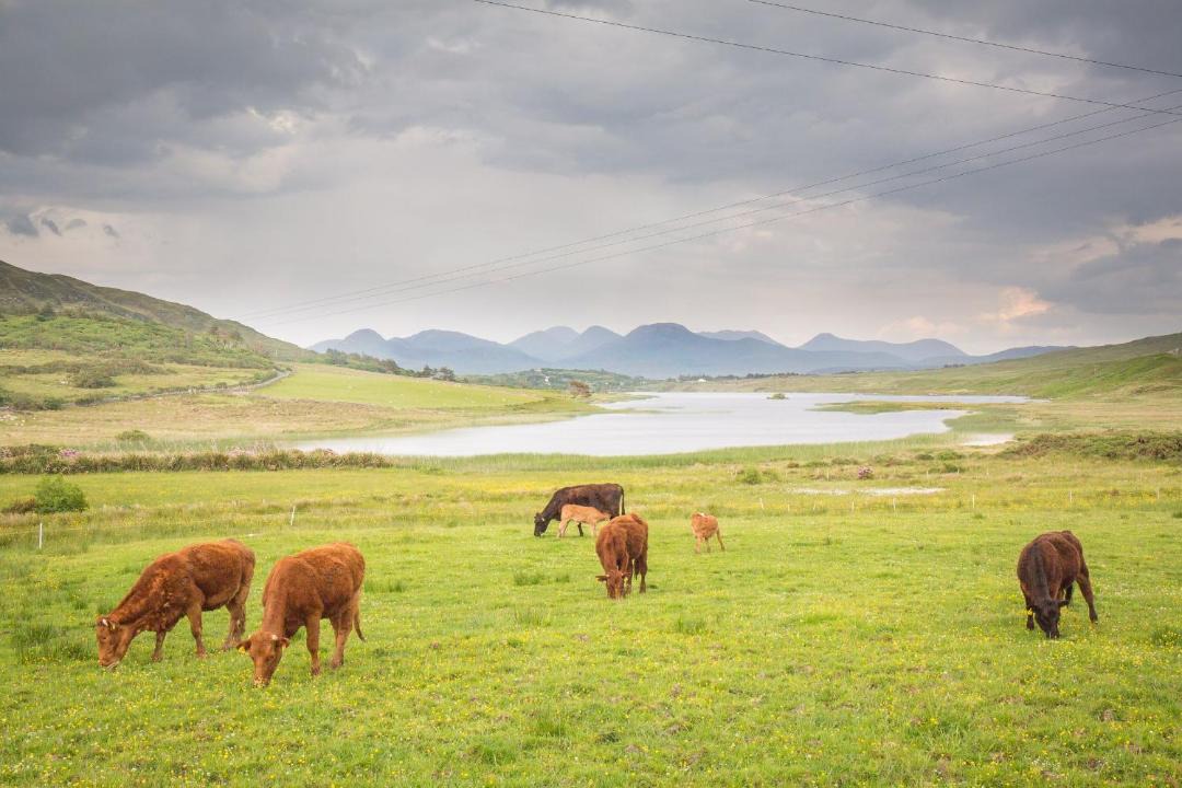 Photo of Outdoor in Cleggan