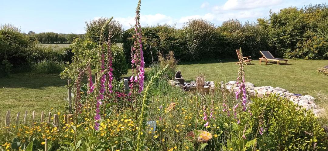 Photo of Outdoor in Carrig-on Bannow