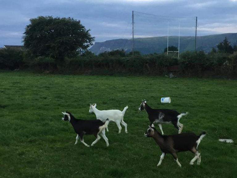 Photo of Others in Cushendall