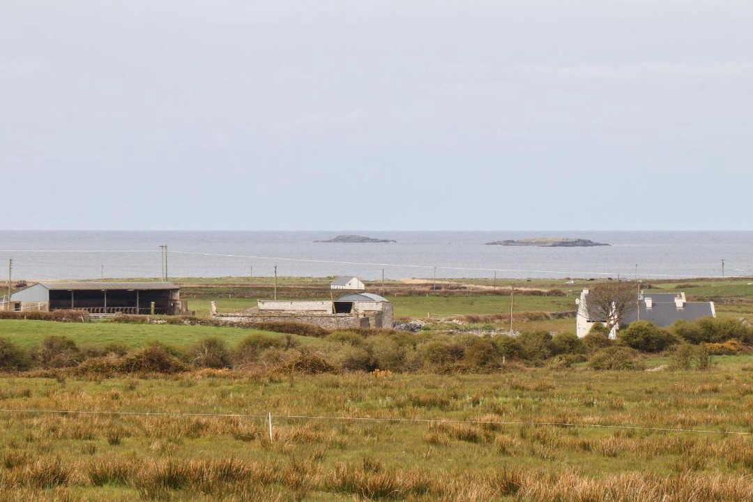 Photo of Others in Quilty