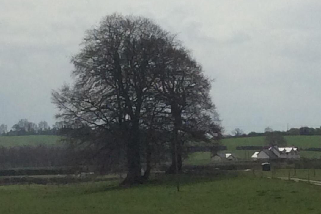 Photo of Others in County Meath