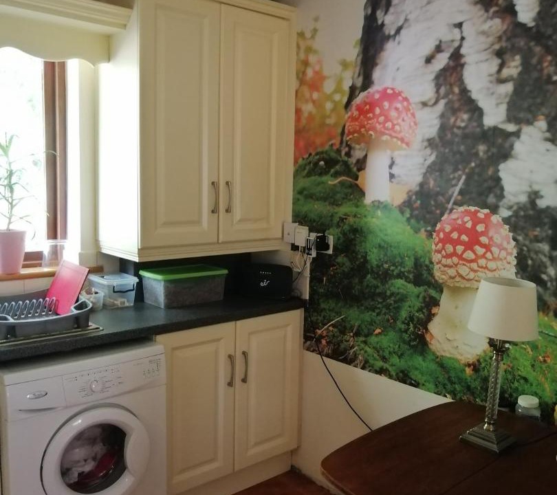 Photo of Kitchen in Mount Nugent