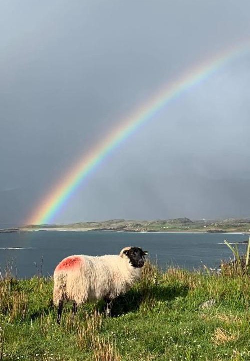 Photo of Others in Kylemore