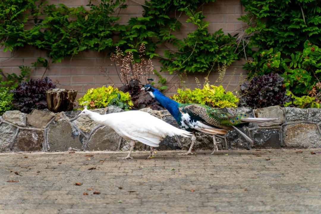 Photo of Others in Dunadry