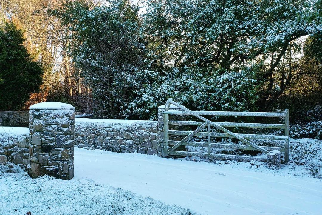 Photo of Others in Bryansford