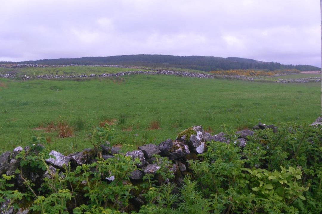 Photo of Others in Lisdoonvarna