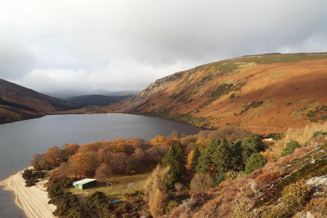 Photo of Others in Glendalough