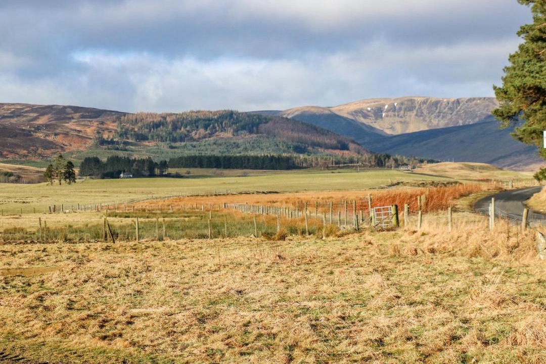 Photo of Others in Kirriemuir