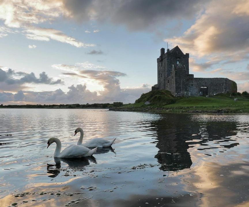 Photo of Others in Kinvara