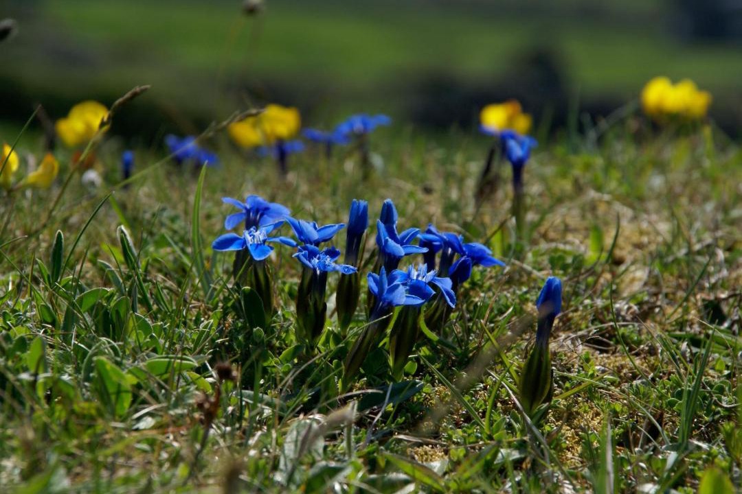 Photo of Others in Murroogh