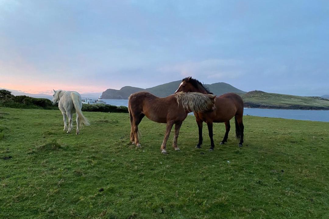 Photo of Others in Valentia Island