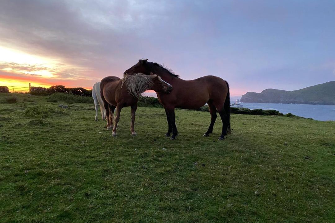 Photo of Others in Valentia Island