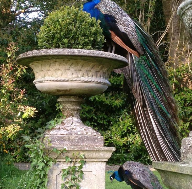 Photo of Others in Gorey