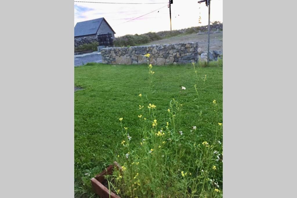 Photo of Others in Kinvara