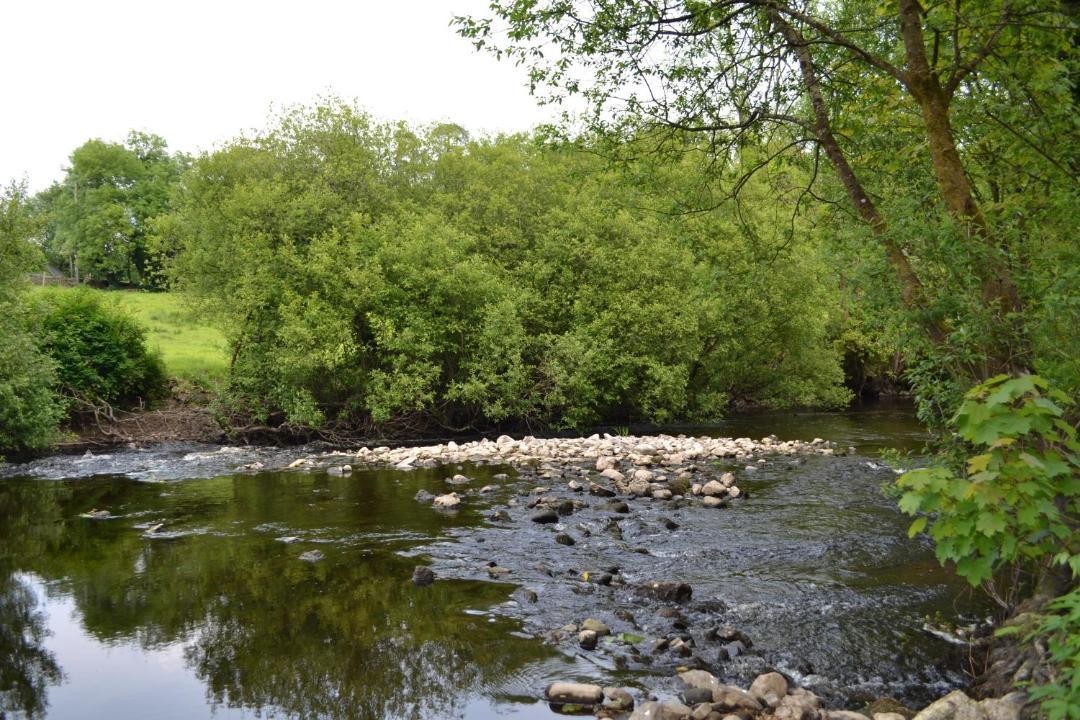 Photo of Others in Scarriff
