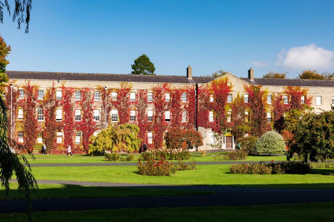 Photo of Others in Maynooth