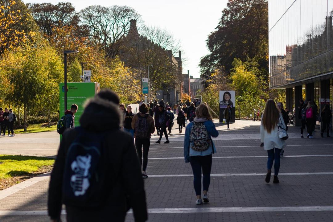 Photo of Others in Maynooth
