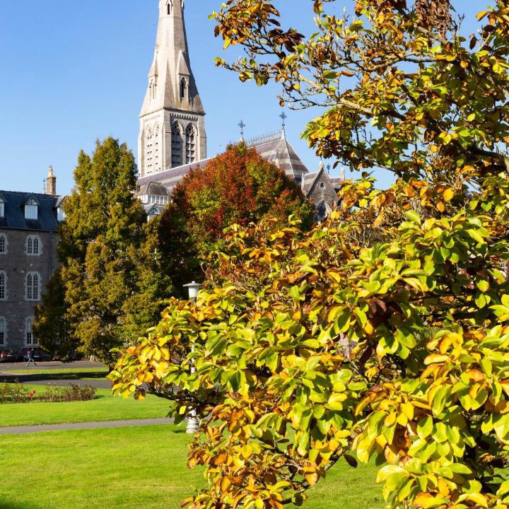Photo of Others in Maynooth