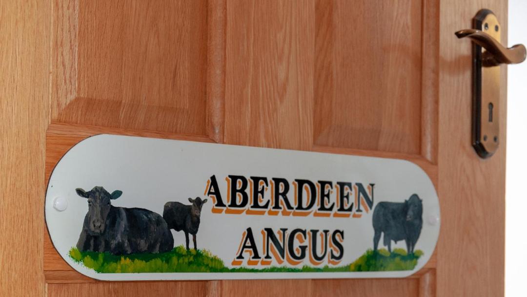 Photo of Others in Loughinisland