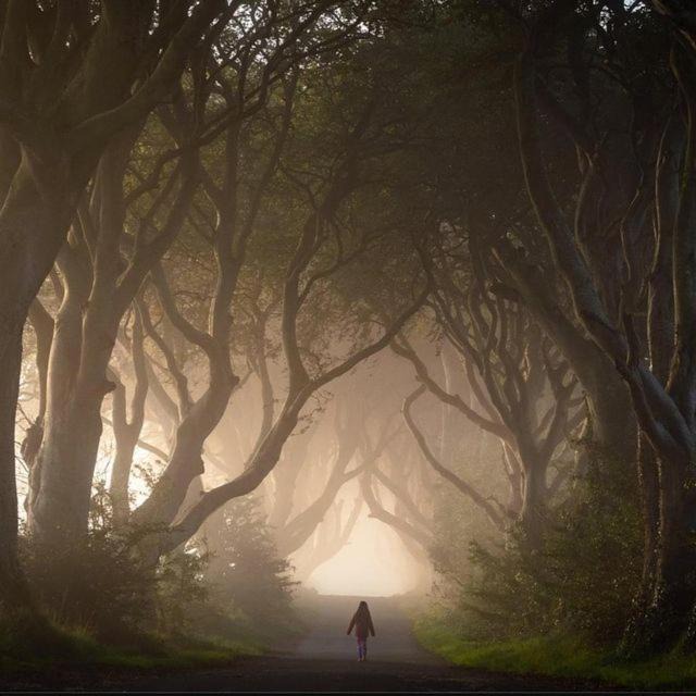 Photo of Others in Ballymoney