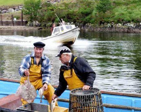 Photo of Others in Sneem