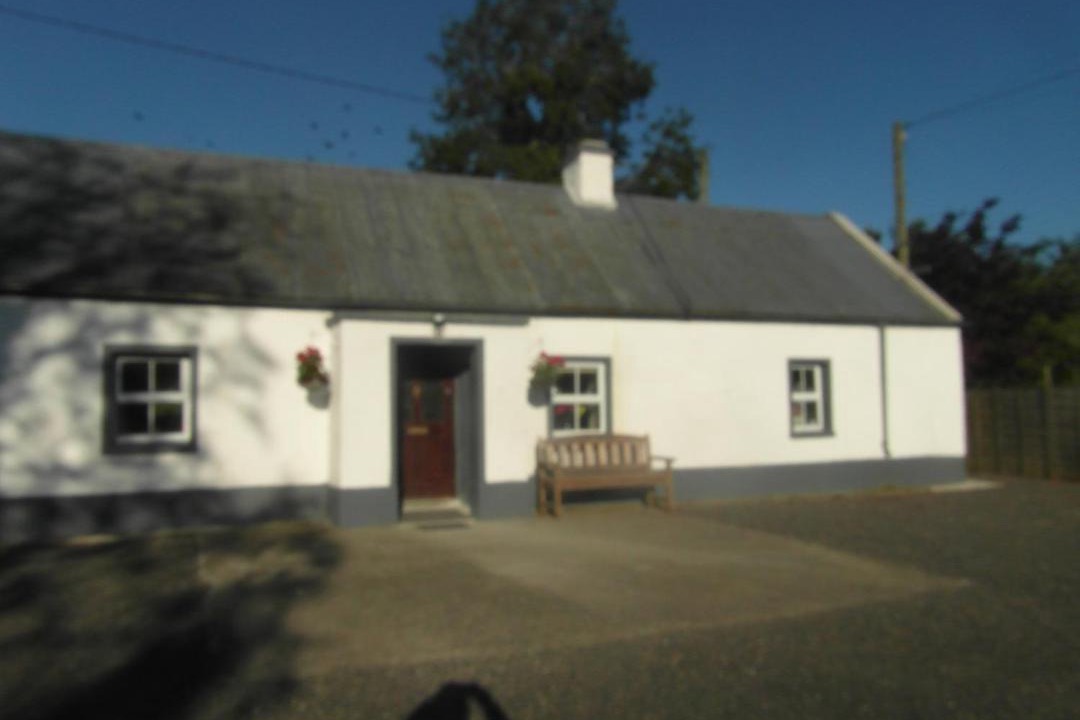 Photo of Others in Leinster
