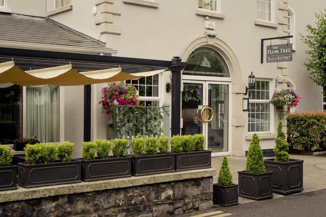 Photo of Others in Carlow