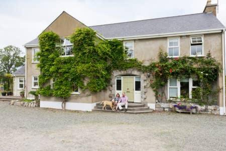 Photo of Others in Donore