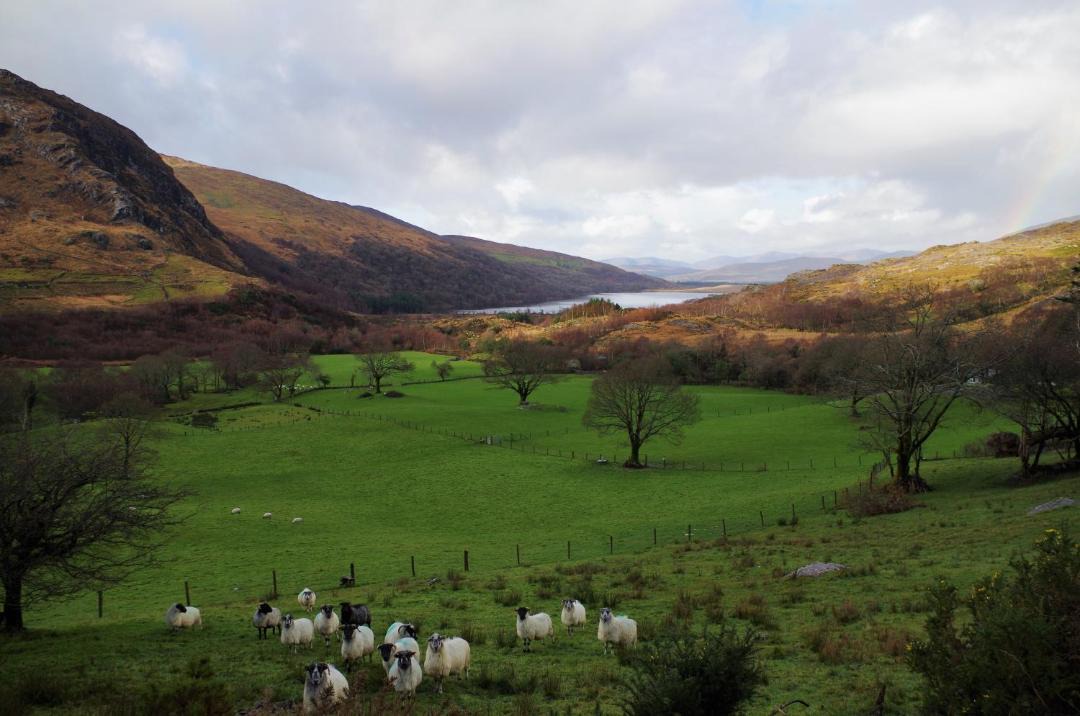 Photo of Others in Caherkeen